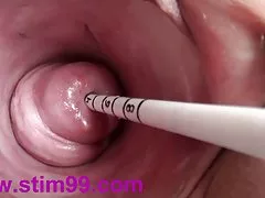 这个家伙，与Askold Zapashny相似，早上在布哈拉之后以一个丰满的摩洛伊斯兰解放阵线退缩了